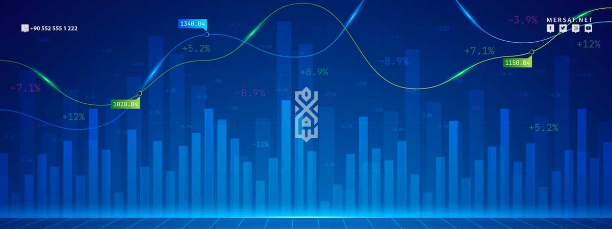 Real estate investment is positively affected by fluctuations in the exchange rate of the Turkish lira